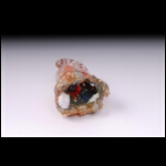 Gold Edge Geode 4x5x7in.jpg